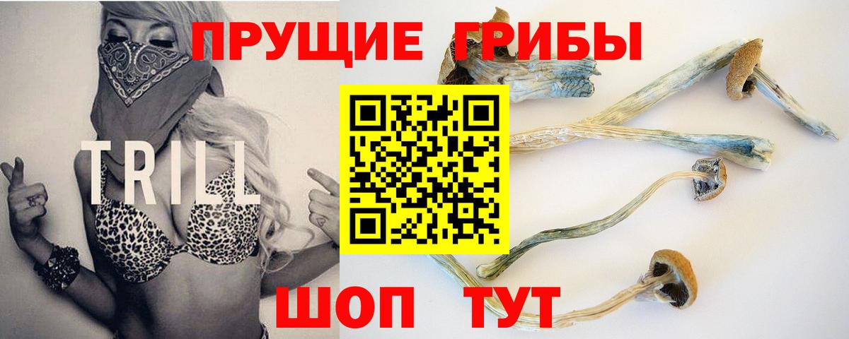 Псилоцибиновые грибы мухоморы  сколько стоит  Вход с VPN  Строитель  Галлюциногенные грибы Psilocybe 